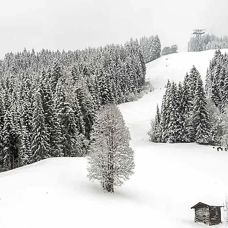 Penthouse In Near Slopes 3*